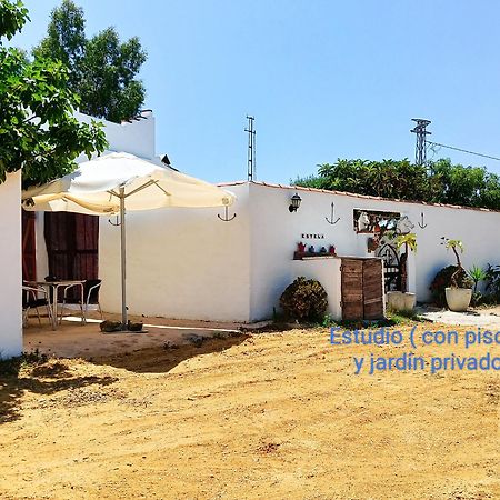 Villa Casa Del Abuelo Antoniotrujillo à Conil De La Frontera Extérieur photo